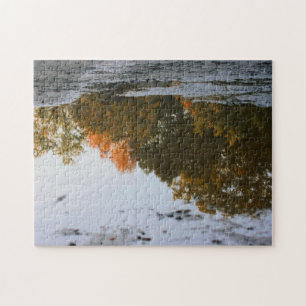 Puzzle Reflexiones De Otoño En Una Naturaleza De Puddle