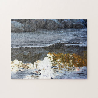 Puzzle Reflexiones En Una Naturaleza De Puddle