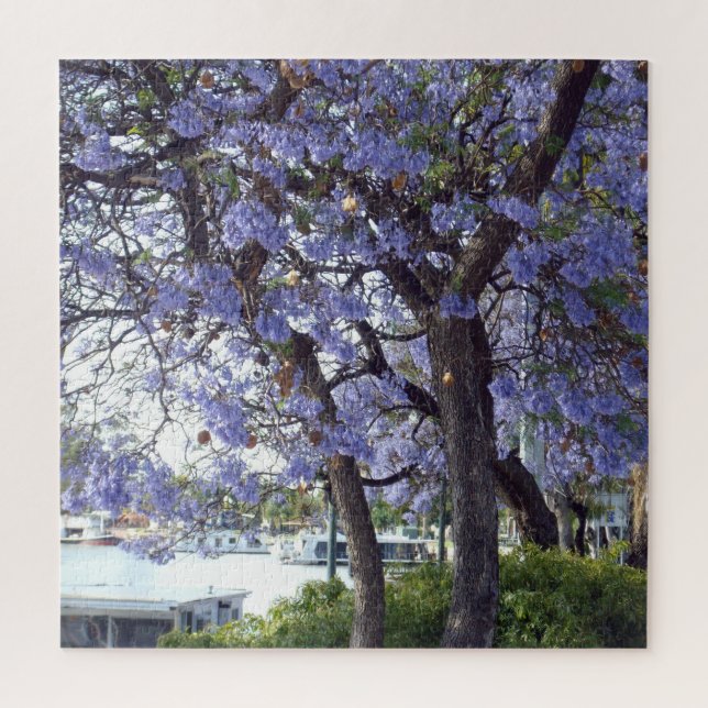 Puzzle **"Reflexiones Jacaranda: Caseras en el Murray (Vertical)