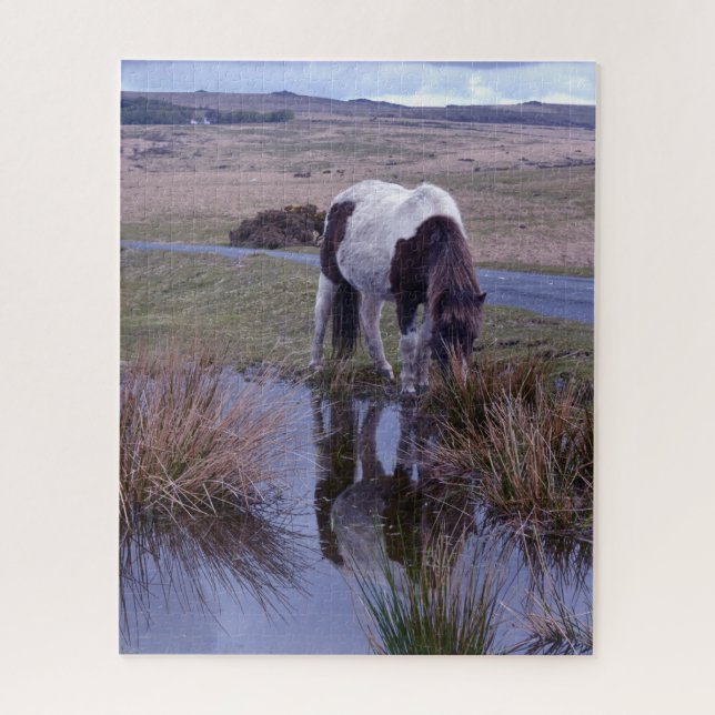 Puzzle Reflexiones sobre el Parque Nacional Pony Dartmoor (Vertical)