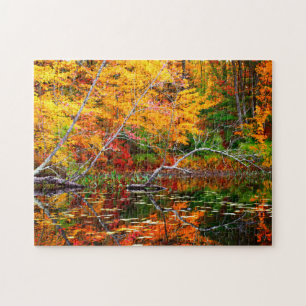 Puzzle Reflexiones sobre la caída del Vermont
