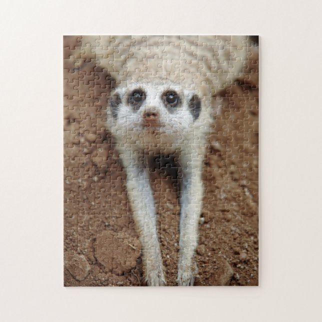Puzzle Refrigeración por Meerkat (Suricata Suricatta) (Vertical)