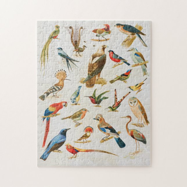 Puzzle Regalo de Aves Vintage Ilustracion Birding Lover (Vertical)