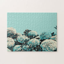 Regalo de las Azores, Hydrangeas Ilustracion Portu