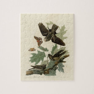 Puzzle Regalo de pintura de audubon vintage