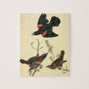 Puzzle Regalo de pintura de pájaro negro audubon de ala 