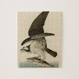 Puzzle Regalo de pintura de pájaros audubónica de époc