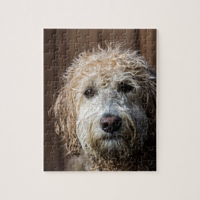 Puzzle Regalos impresionantes del perrito de Labradoodle (Vertical)