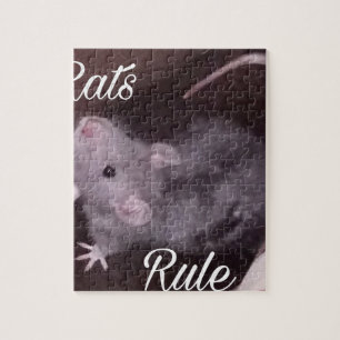 Puzzle Regla de las ratas
