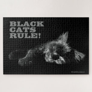 Puzzle Regla de los gatos negros - Hola oscuridad somnoli