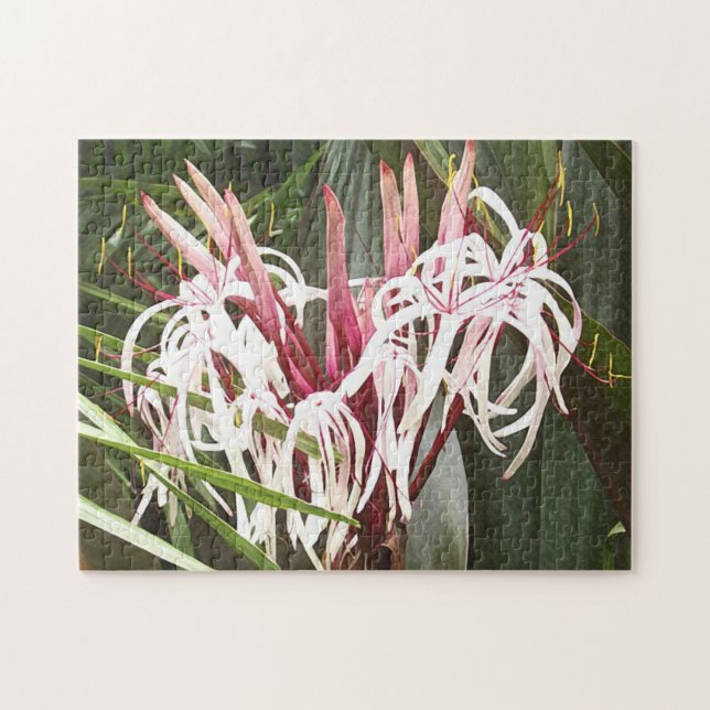 Puzzle Reina Emma Crinum Lilies (Horizontal)
