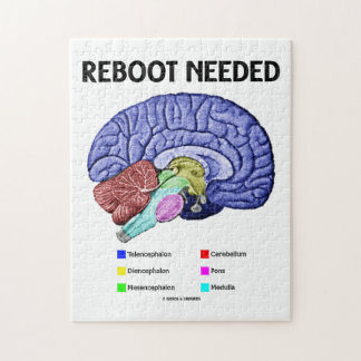 Puzzle Reinicialización necesaria (humor anatómico del