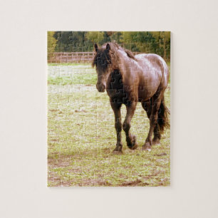 Puzzle Relajado paseo de caballos marrones