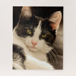 Puzzle Relajante gato blanco y negro
