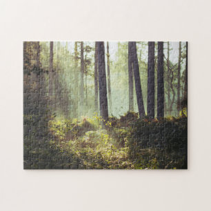 Puzzle Remiendo de la maleza del bosque en el bosque
