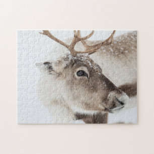 Puzzle Renos en nieve
