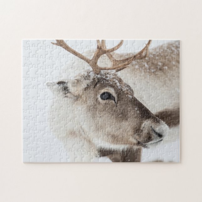 Puzzle Renos en nieve (Horizontal)