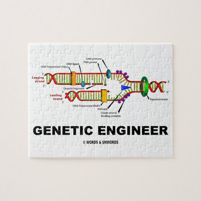 Puzzle Réplica genética de la DNA del ingeniero (Horizontal)