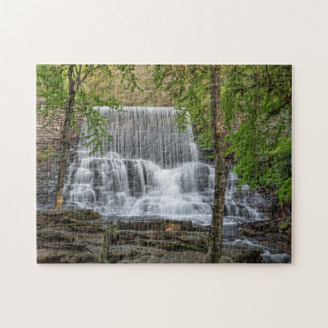 Puzzle Represa Stametz 11x14 dura (Horizontal)