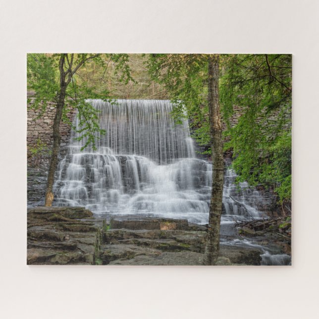 Puzzle Represa Stametz 16x20 dura (Horizontal)