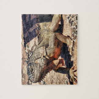 Puzzle Reptil