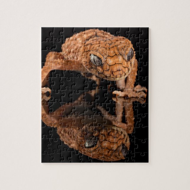 Puzzle Reptil de bizcocho pequeño con reflexión (Vertical)