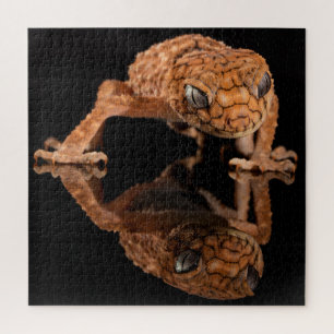Puzzle Reptil de bizcocho pequeño con reflexión