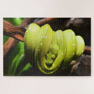 Puzzle Reptil de serpiente verde