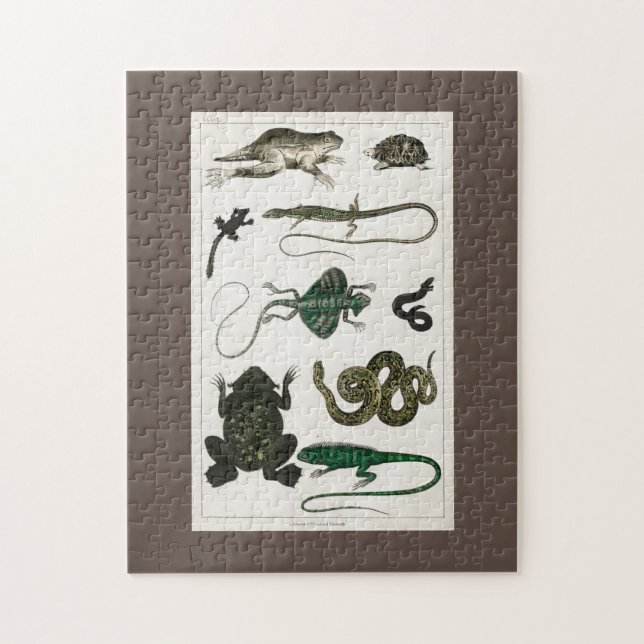 Puzzle reptil, lindo, lagarto, animal, reptiles, tortuga (Vertical)