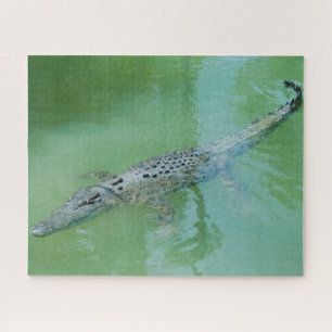 Puzzle Reptile de animales de cocodrilo verde salvaje, 52