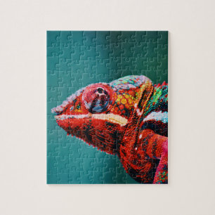 Puzzle Reptile de color de arcoiris