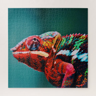Puzzle Reptile de color de arcoiris