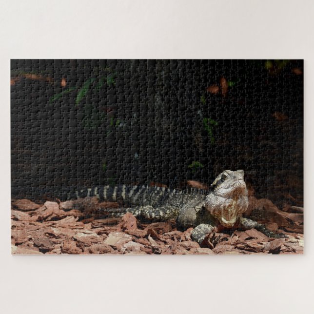 Puzzle Reptile Lizard - Dragón de Agua Oriental (Horizontal)