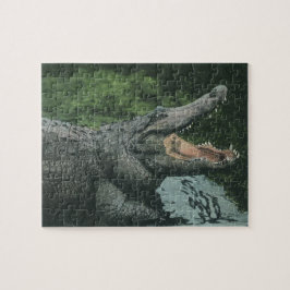Puzzle Reptiles de cocodrilos vintales, vida animal marin