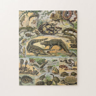 Puzzle Reptiles Ilustracion Por Adolphe Millot