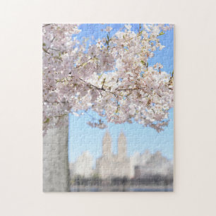 Puzzle Reserva Central Park Flores de cerezo de primavera