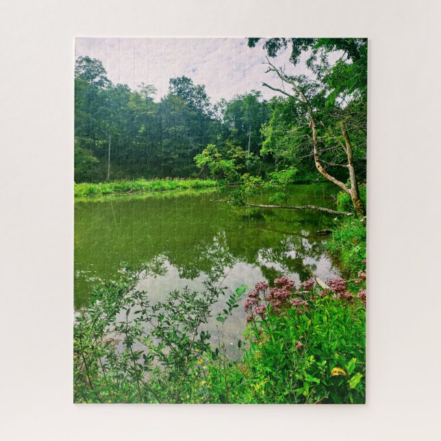 PUZZLE RESERVA NATURAL DE ITHACA NUEVA YORK (Vertical)