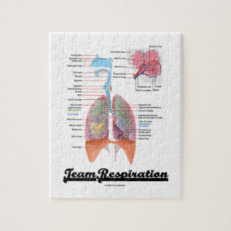 Puzzle Respiración del equipo (sistema respiratorio)
