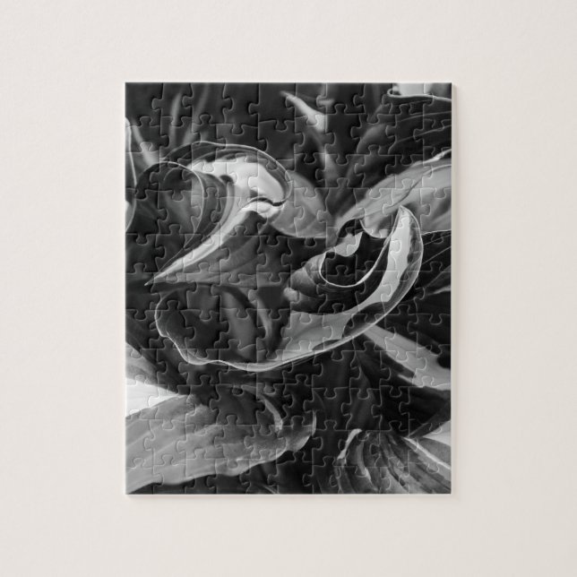 Puzzle Resumen de hojas de Hosta de Curly Negra y Blanca (Vertical)