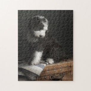 Puzzle Retrato Bobtail del perrito en estudio