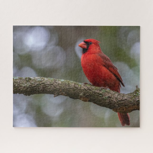 Puzzle Retrato cardinal (Horizontal)
