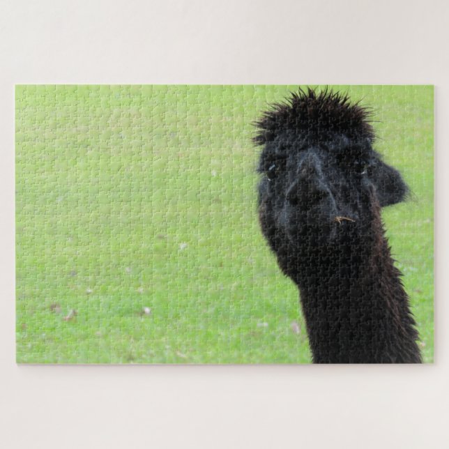 Puzzle retrato de alapca (Horizontal)