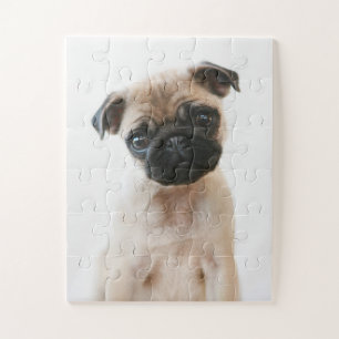 Puzzle Retrato de Baby Pug