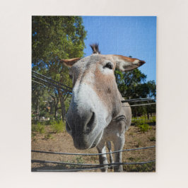 Puzzle Retrato de burro marrón en un día soleado de veran