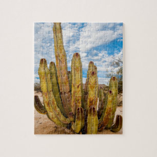 Puzzle retrato de Cactus Hombre Viejo, México