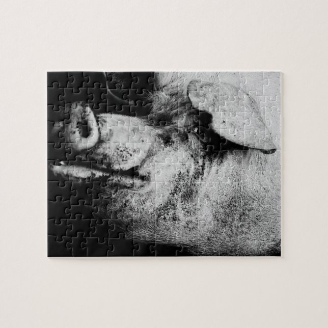 Puzzle retrato de cerdo (Horizontal)