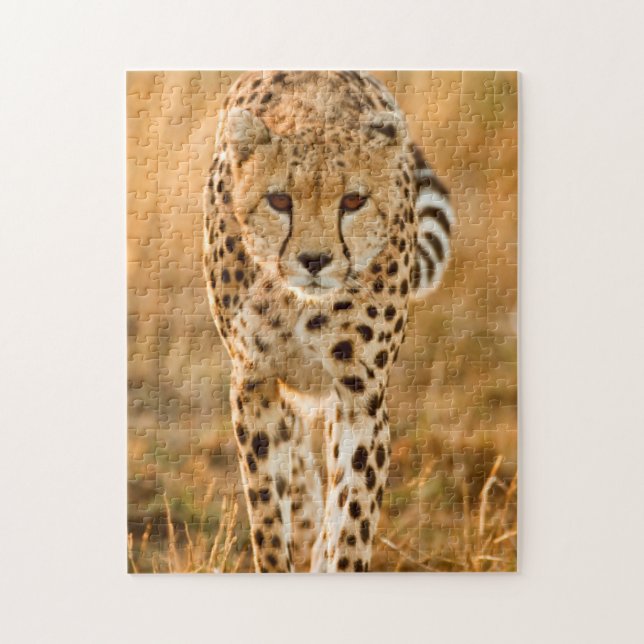Puzzle Retrato de chita (Acinonyx Jubatus), Masai (Vertical)