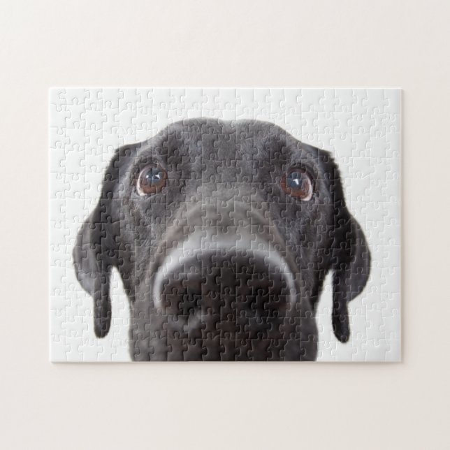 Puzzle Retrato de cierre del labrador negro (Horizontal)