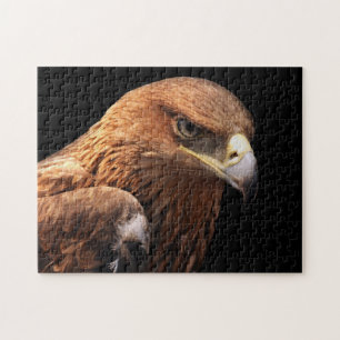 Puzzle Retrato de Eagle aislado en negro