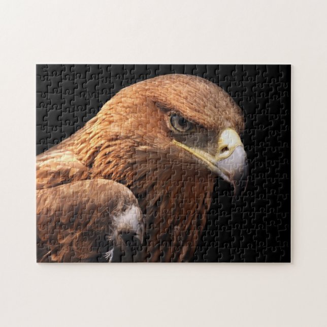 Puzzle Retrato de Eagle aislado en negro (Horizontal)